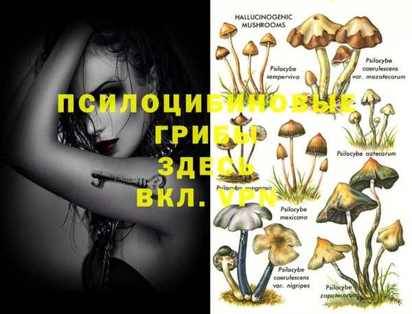 метамфетамин Осинники