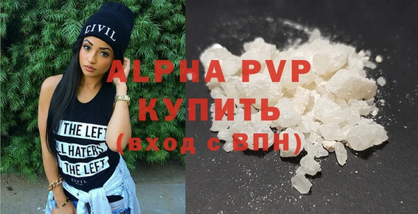 индика Ельня