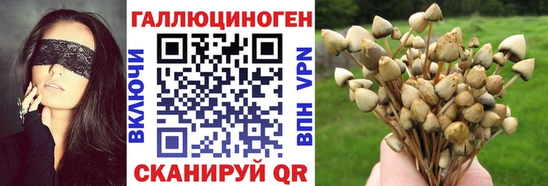 Галлюциногенные грибы Magic Shrooms Сельцо