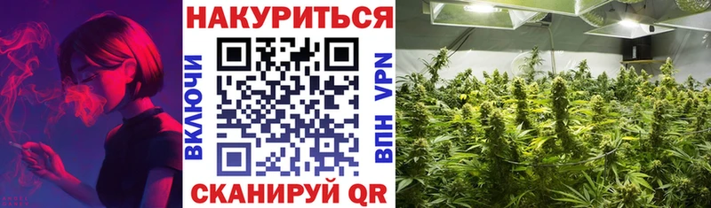 как найти закладки Сельцо МАРИХУАНА OG Kush